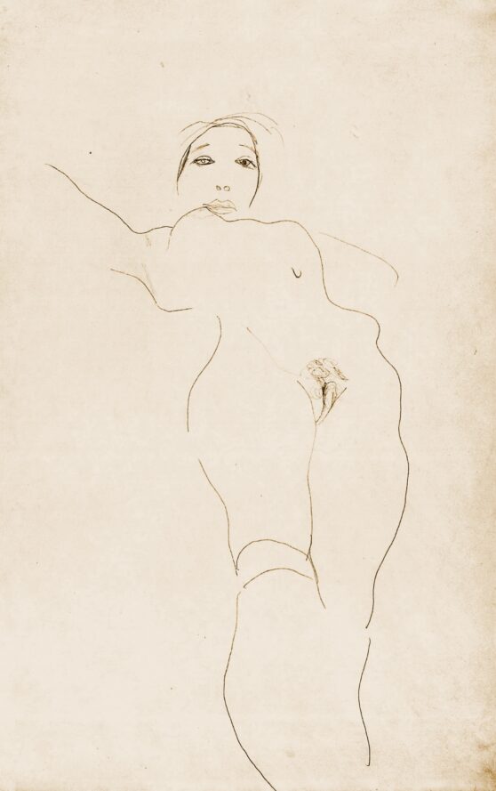Egon Schiele - Female Nude with Stockings 1/2