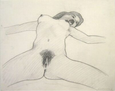 Tom Wesselmann - Nude with all Orifices